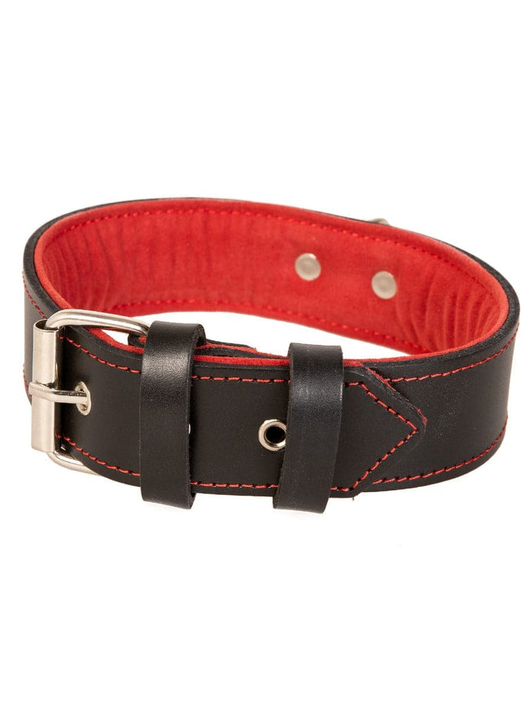 Skin Two UK Red Trim Black Leather Collar With D Ring  Collar