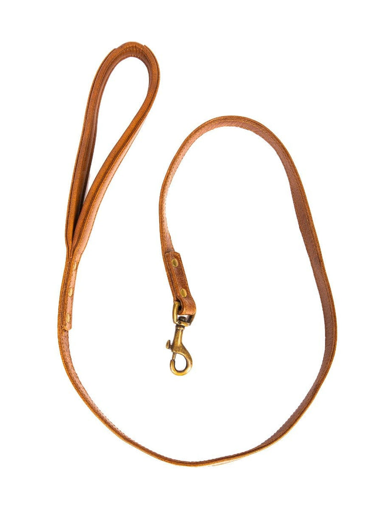 Skin Two UK Brown Vintage Style Leather Leash Collar